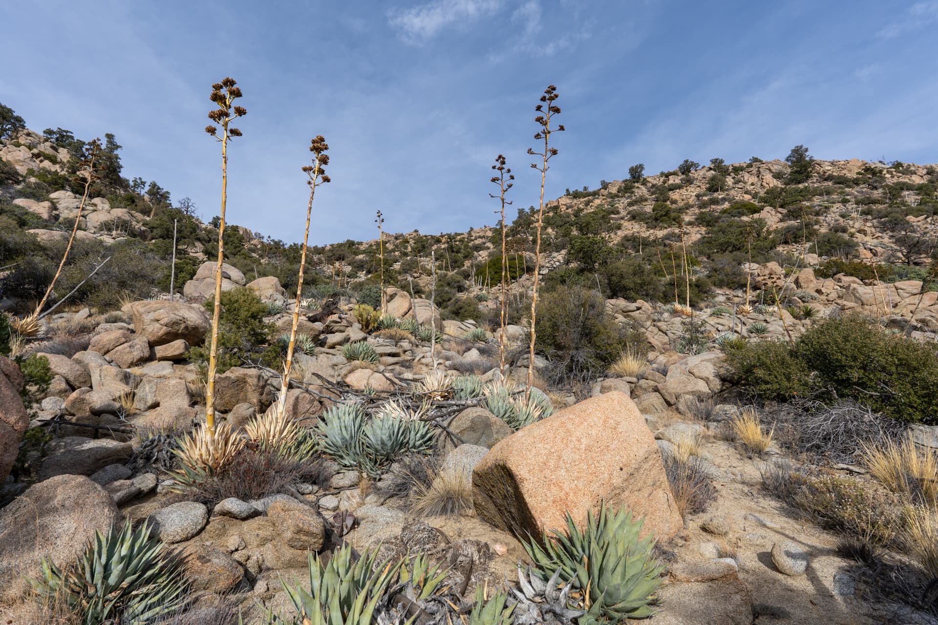 Asbestos Mountain
