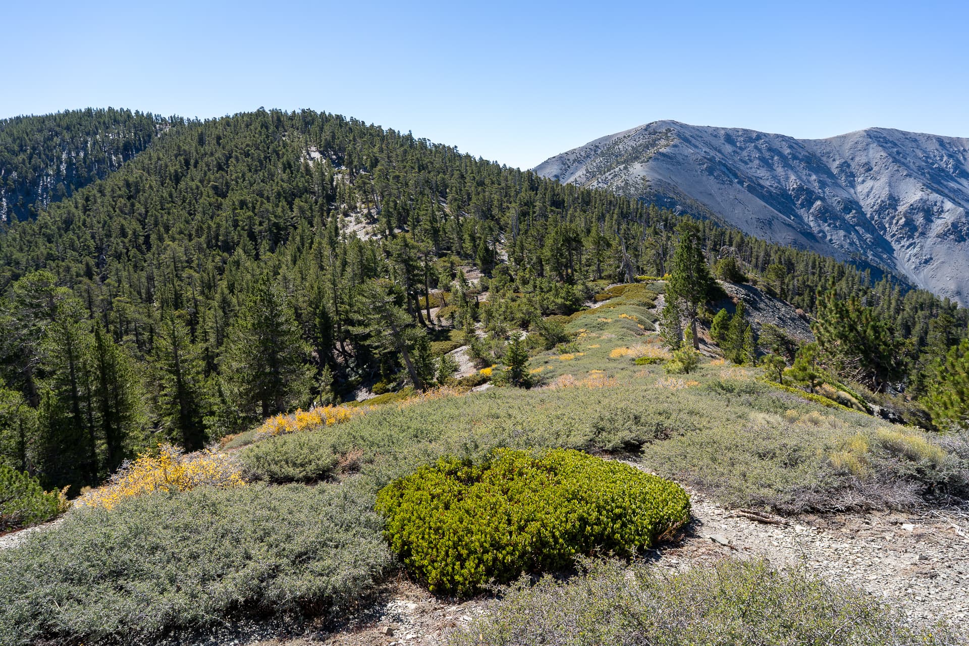 Baldy-Pine-Baldy Traverse