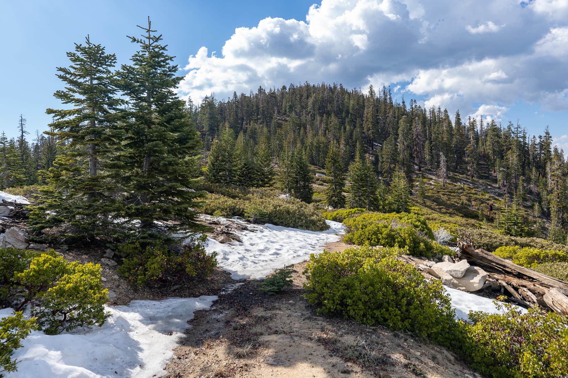Cannell Peak