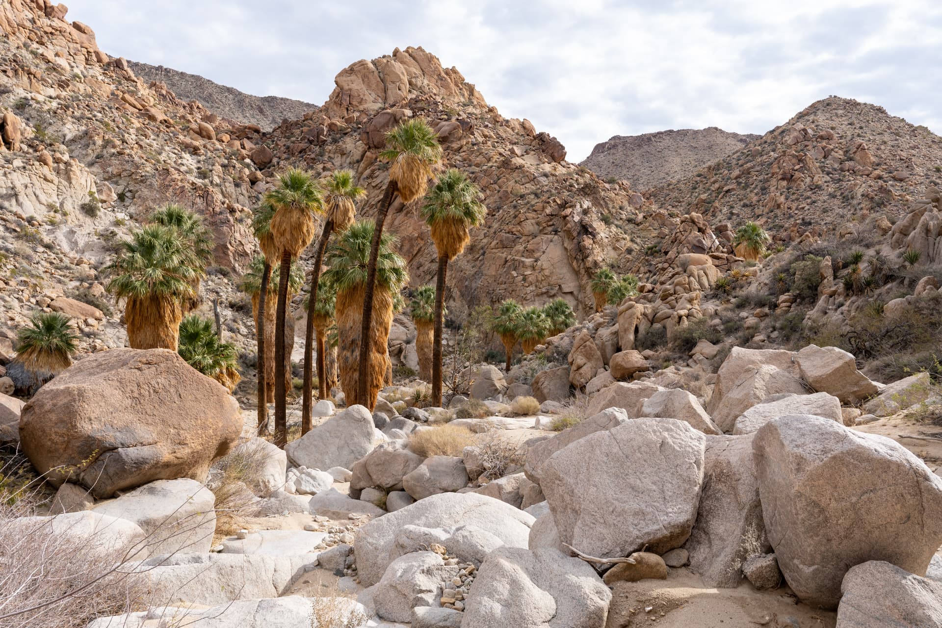Eagle Mountain via Munsen Canyon