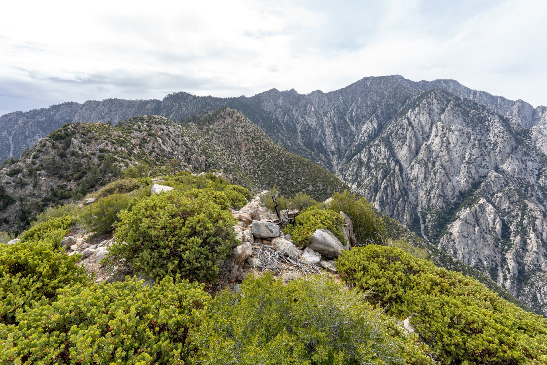 Leatherneck Ridge