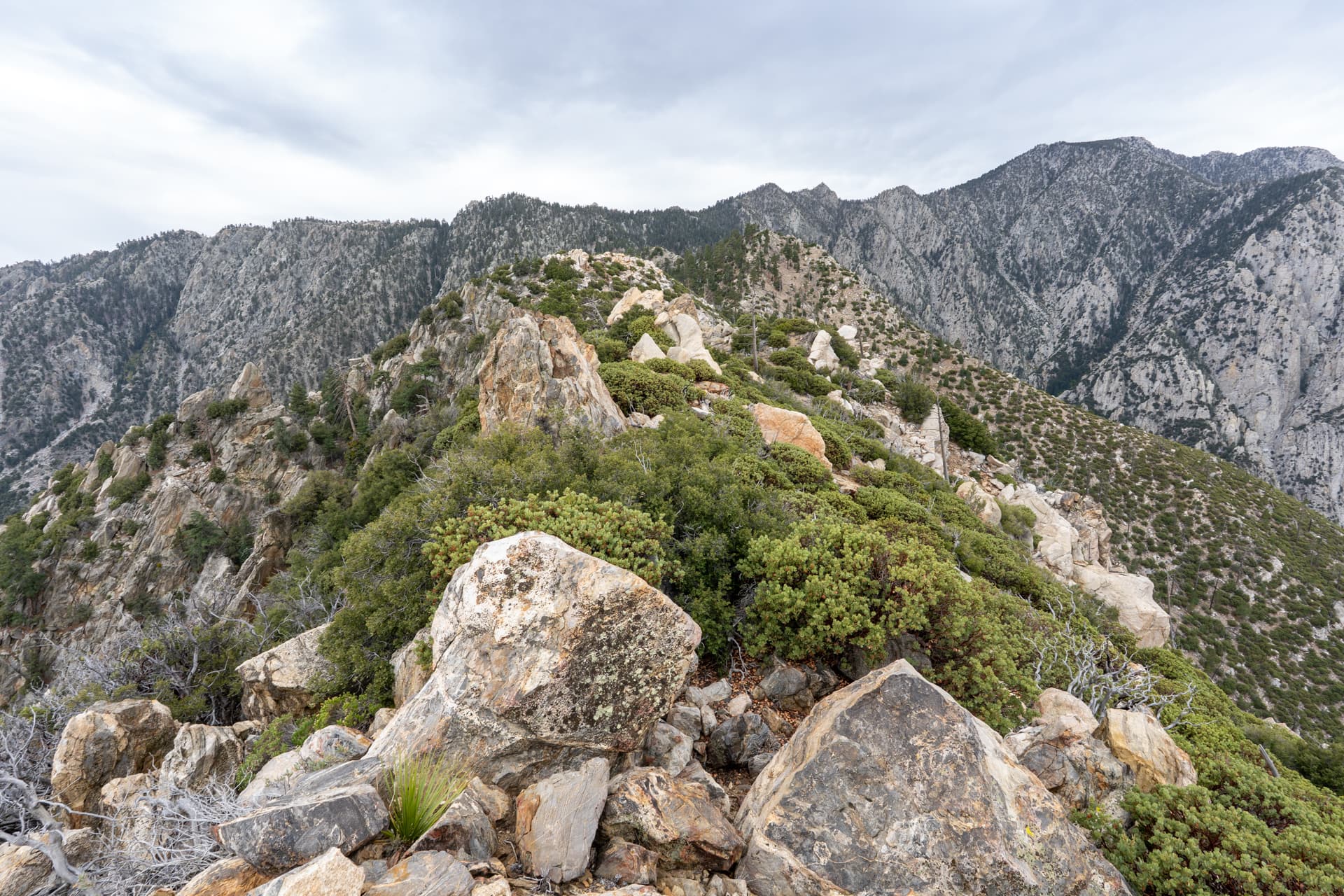 Leatherneck Ridge