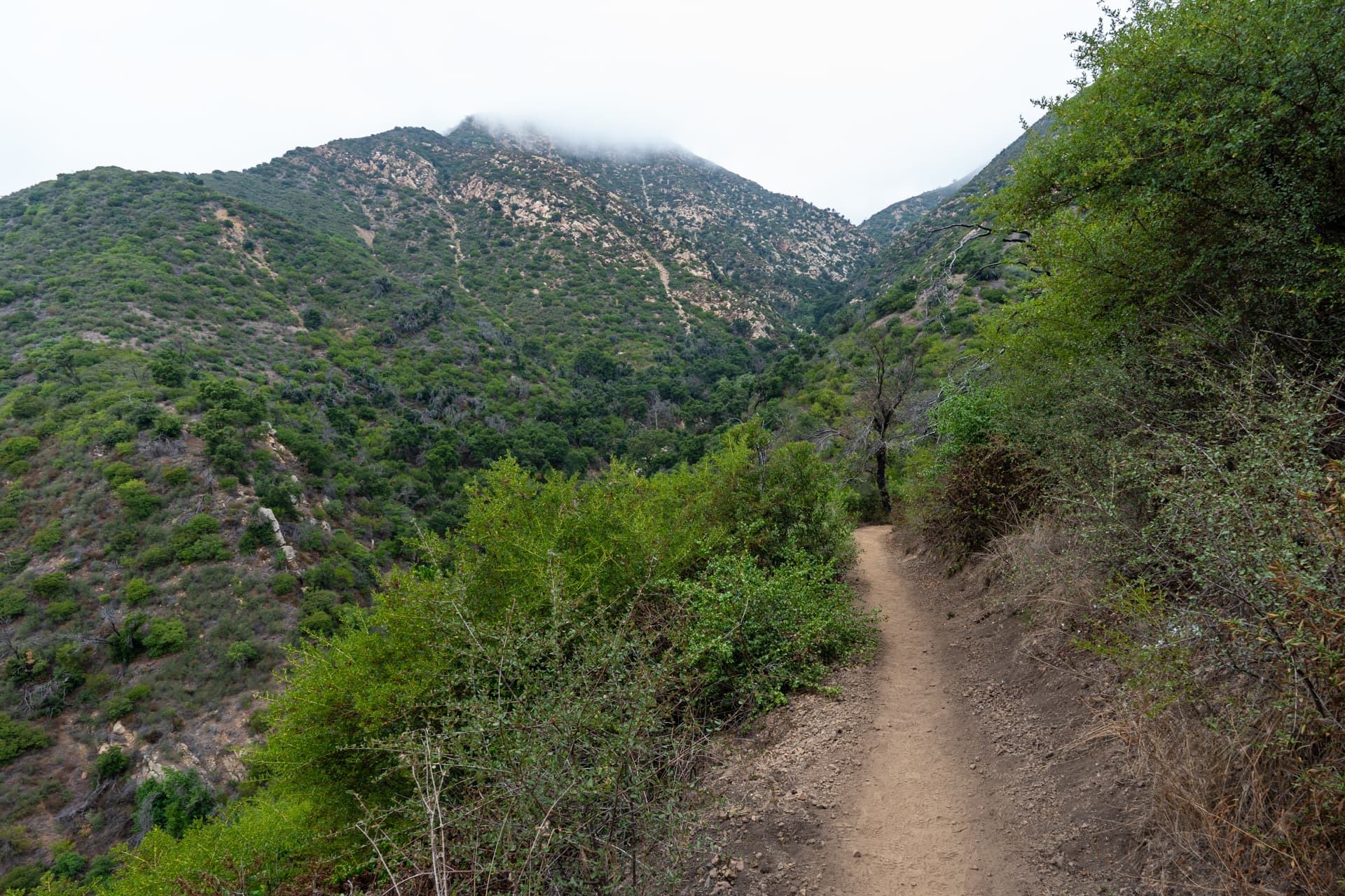 Montecito Peak