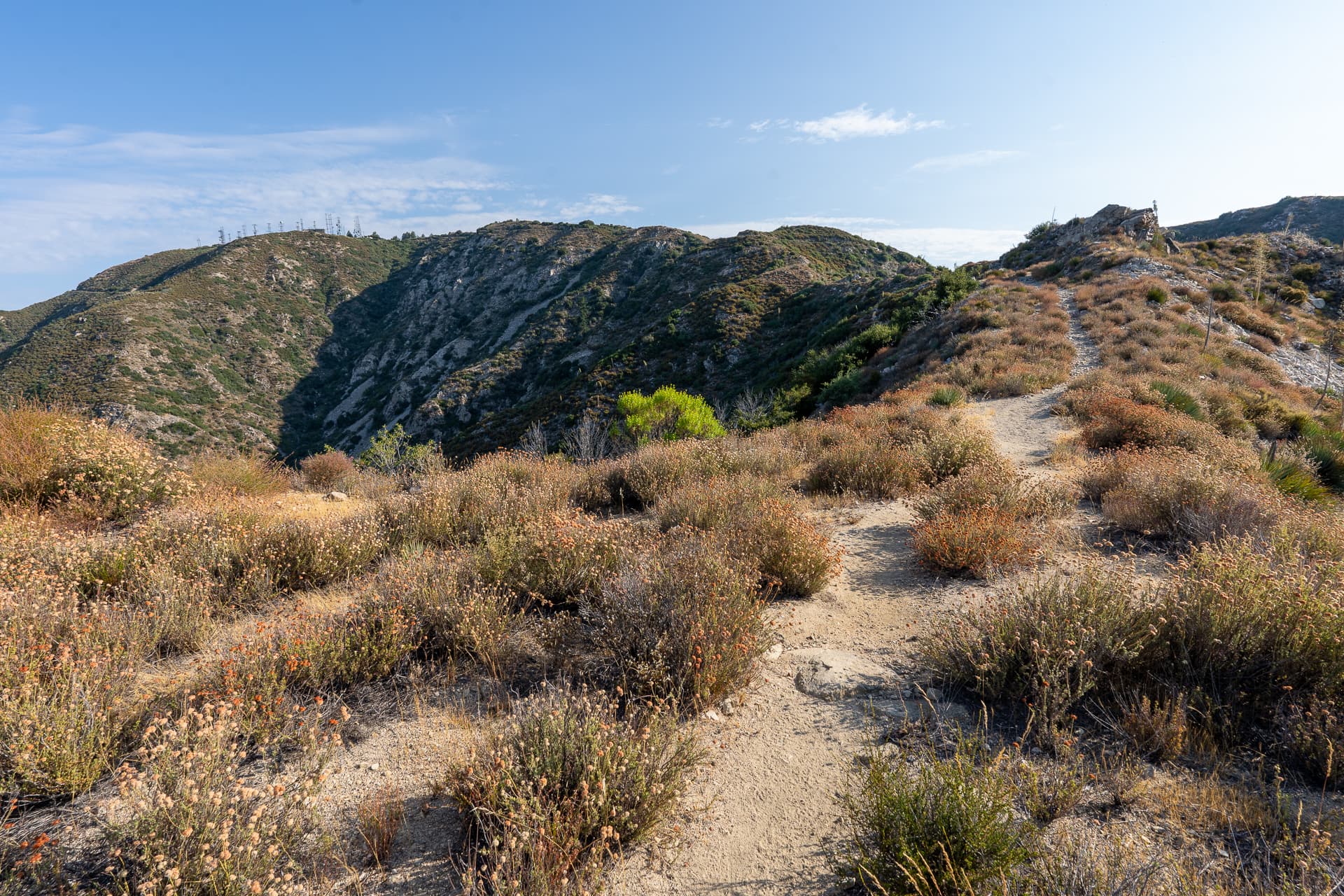 Mount Lukens Loop
