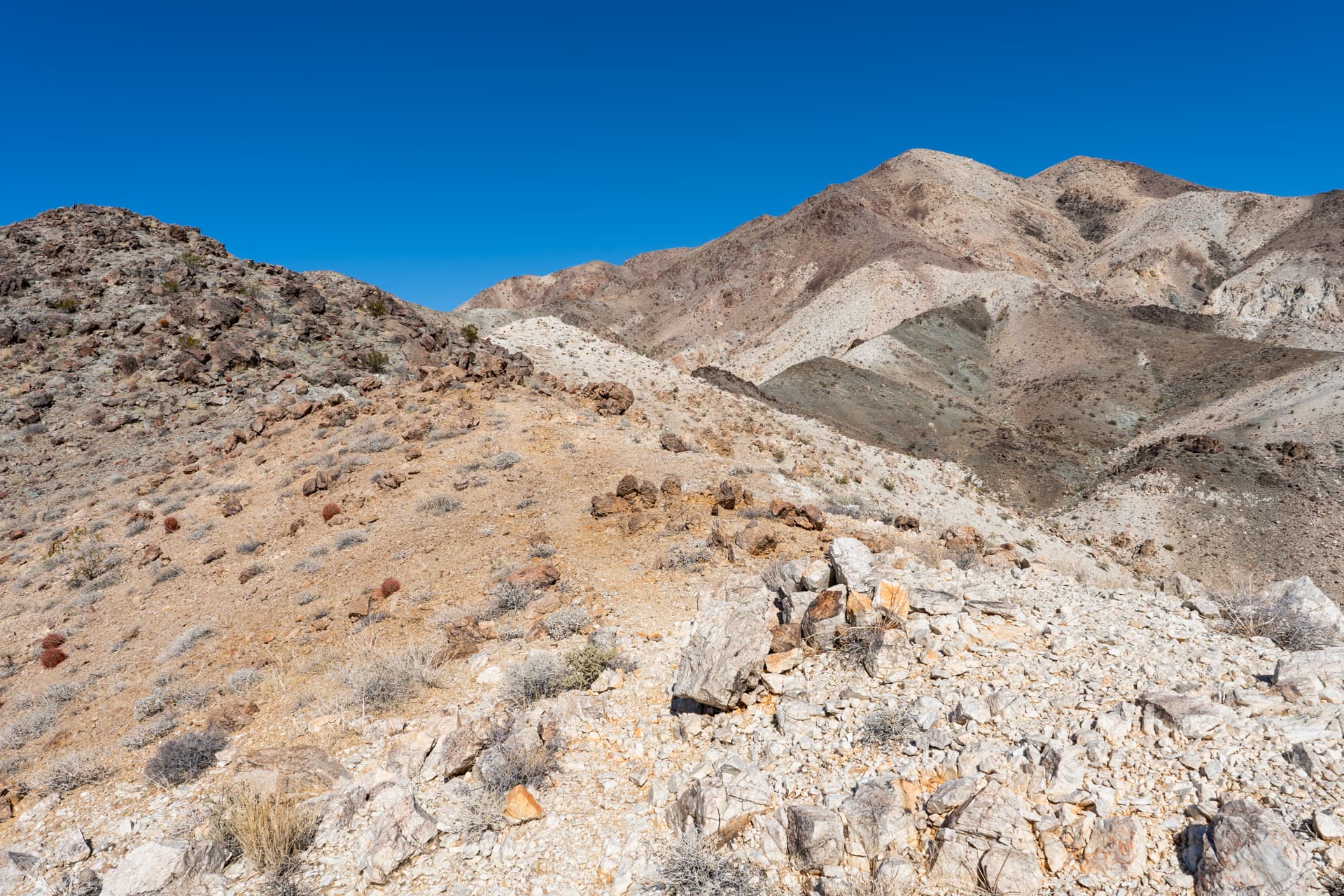 Pinto Mountain