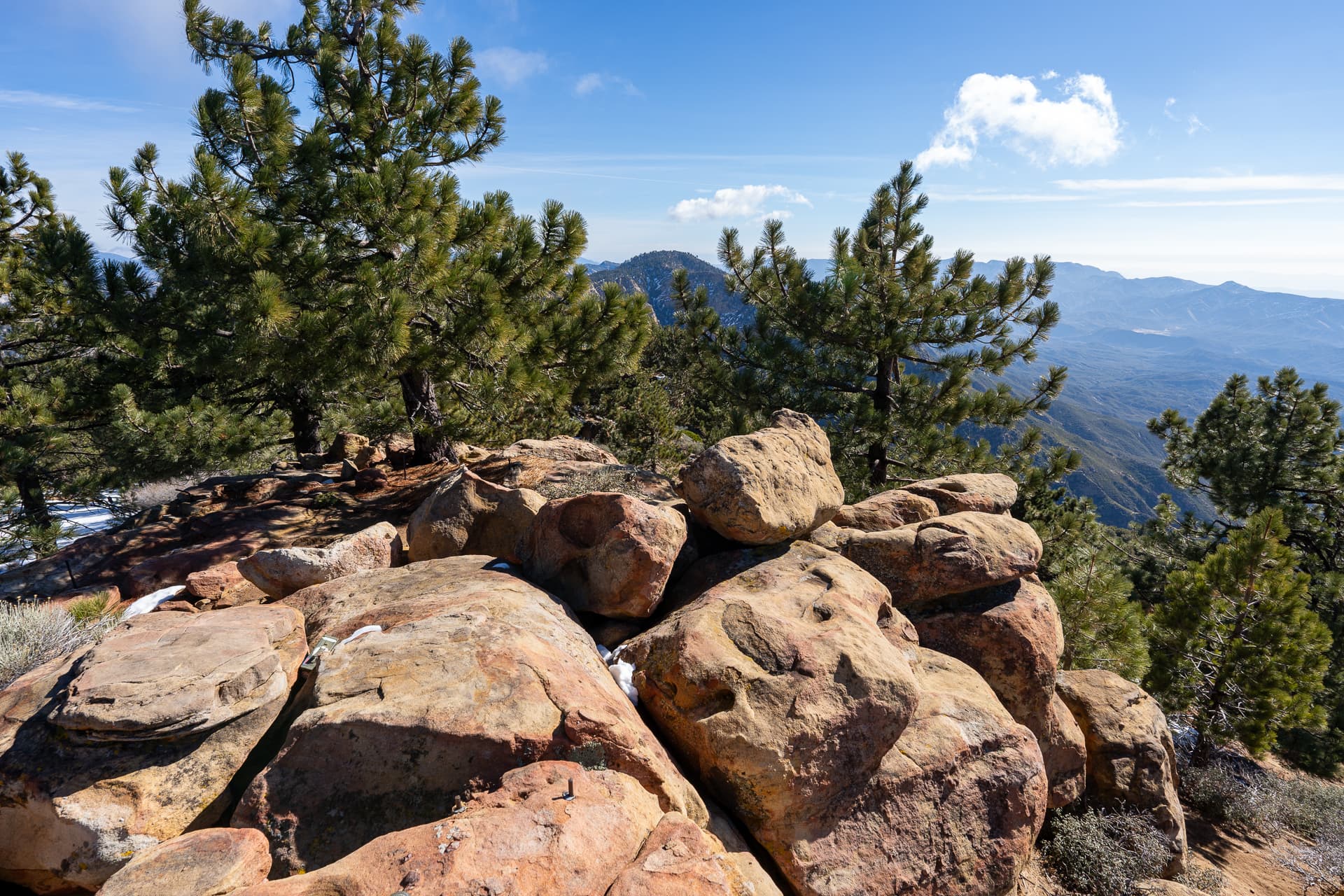Reyes Peak via Chorro Grande Trail