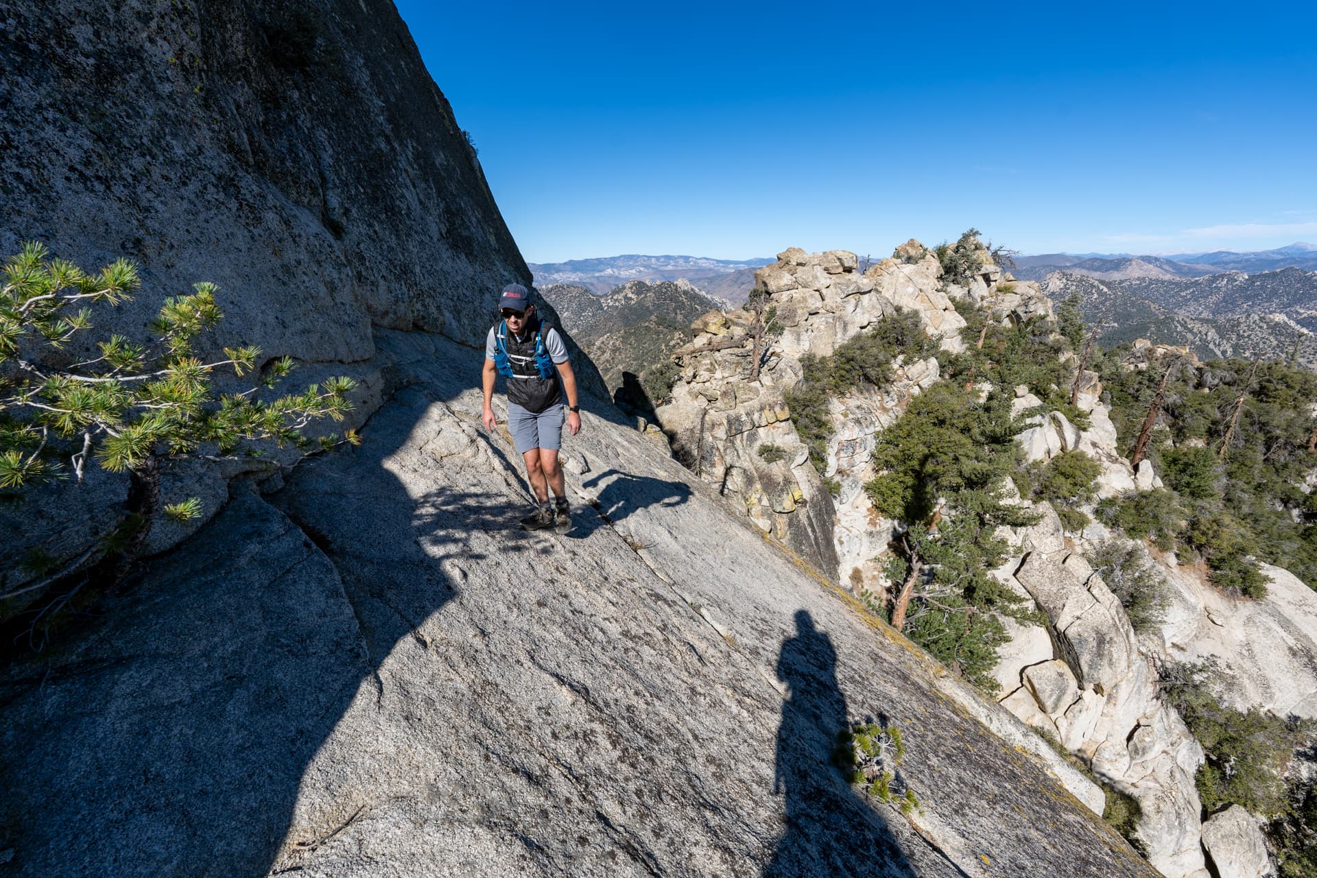 Spanish Needle