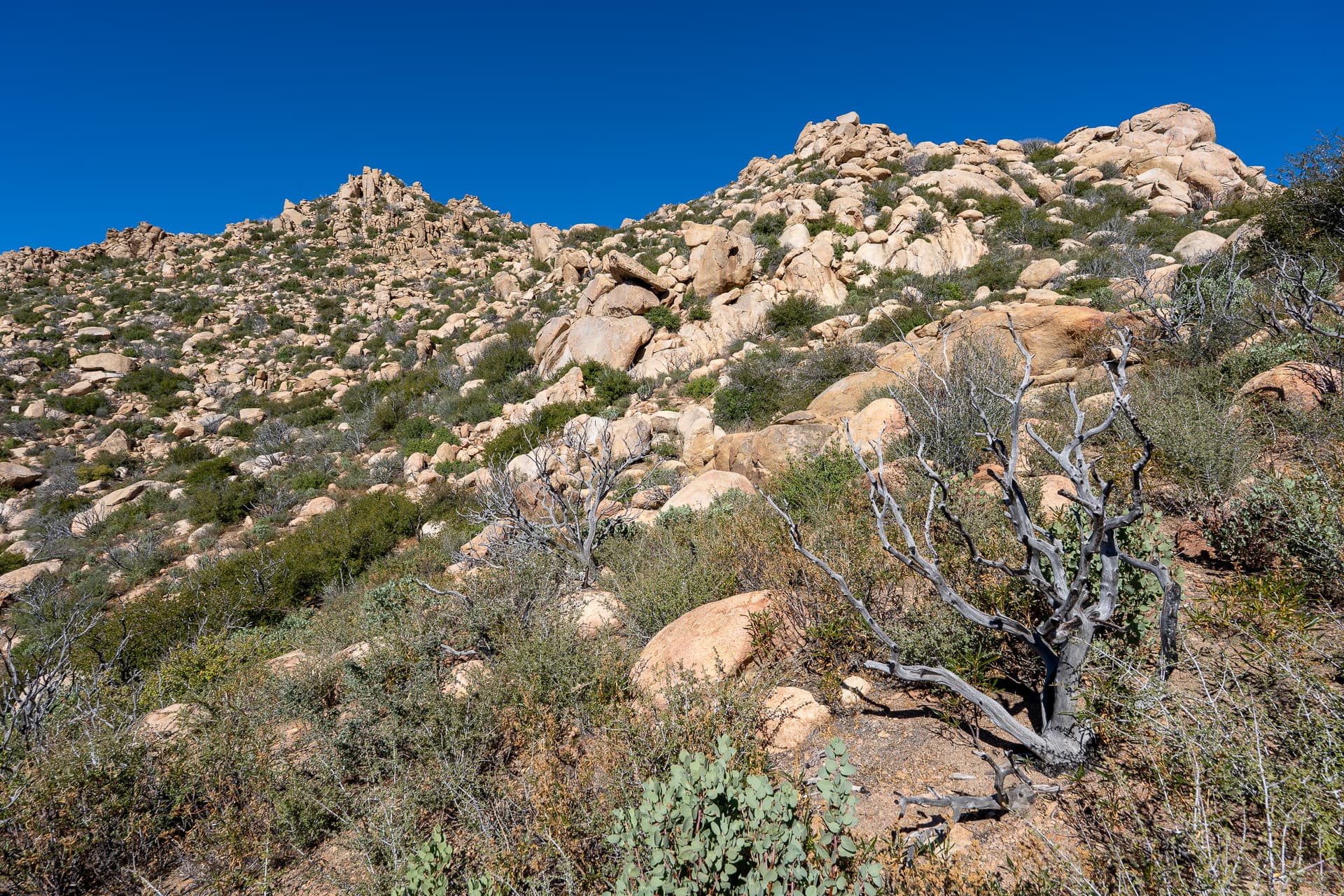 The Pinnacles and Peak 5678