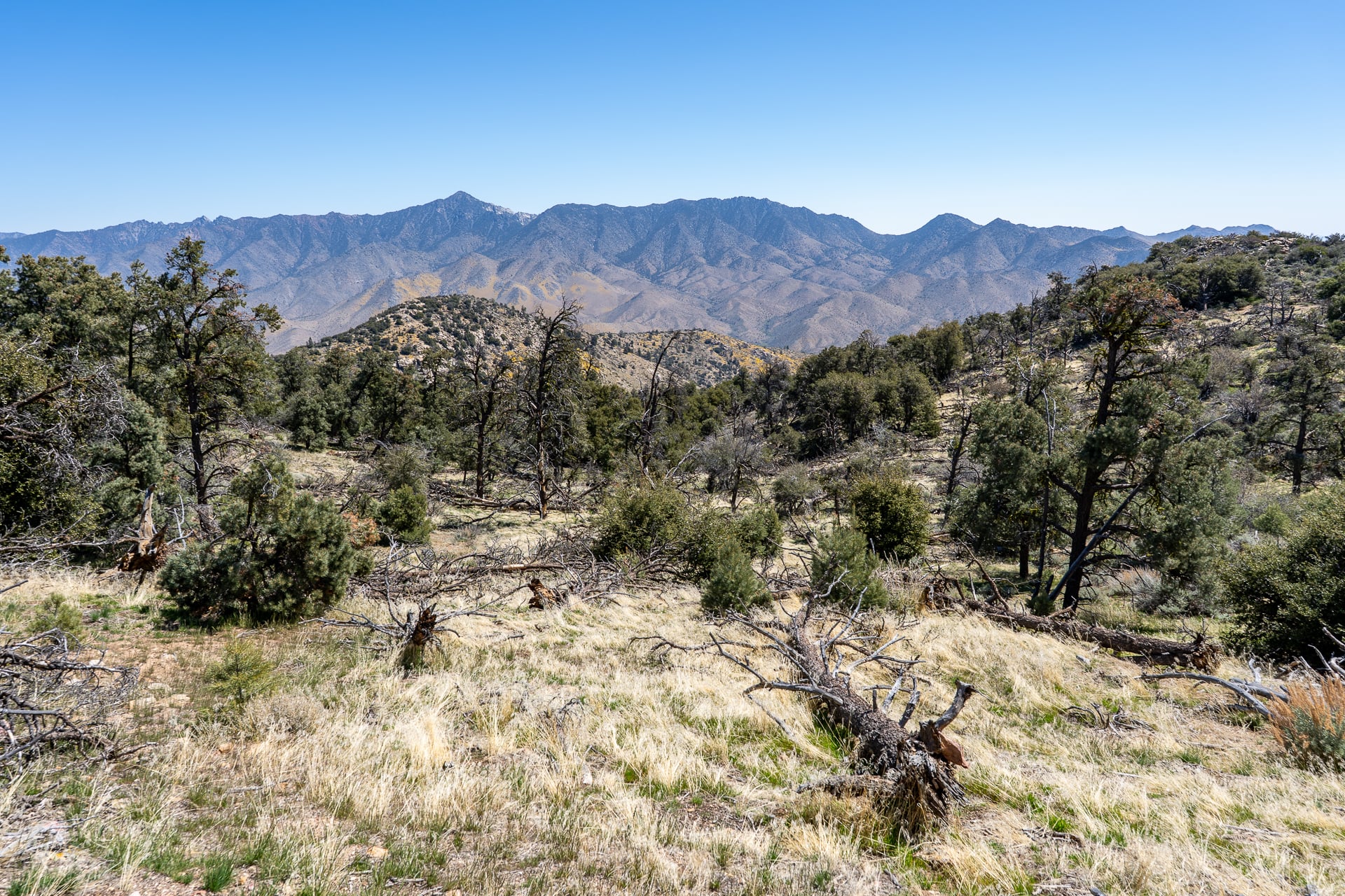 Pinyon Peak