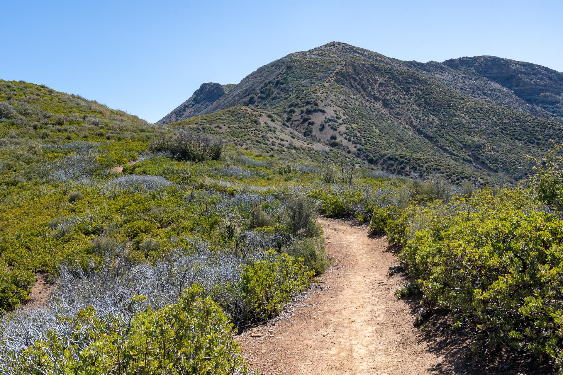 Hines Peak and Topatopa Bluff via Sisar Canyon