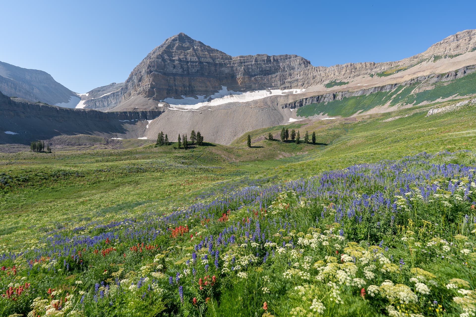 Mount Timpanogos, South Timpanogos, and Roberts Horn