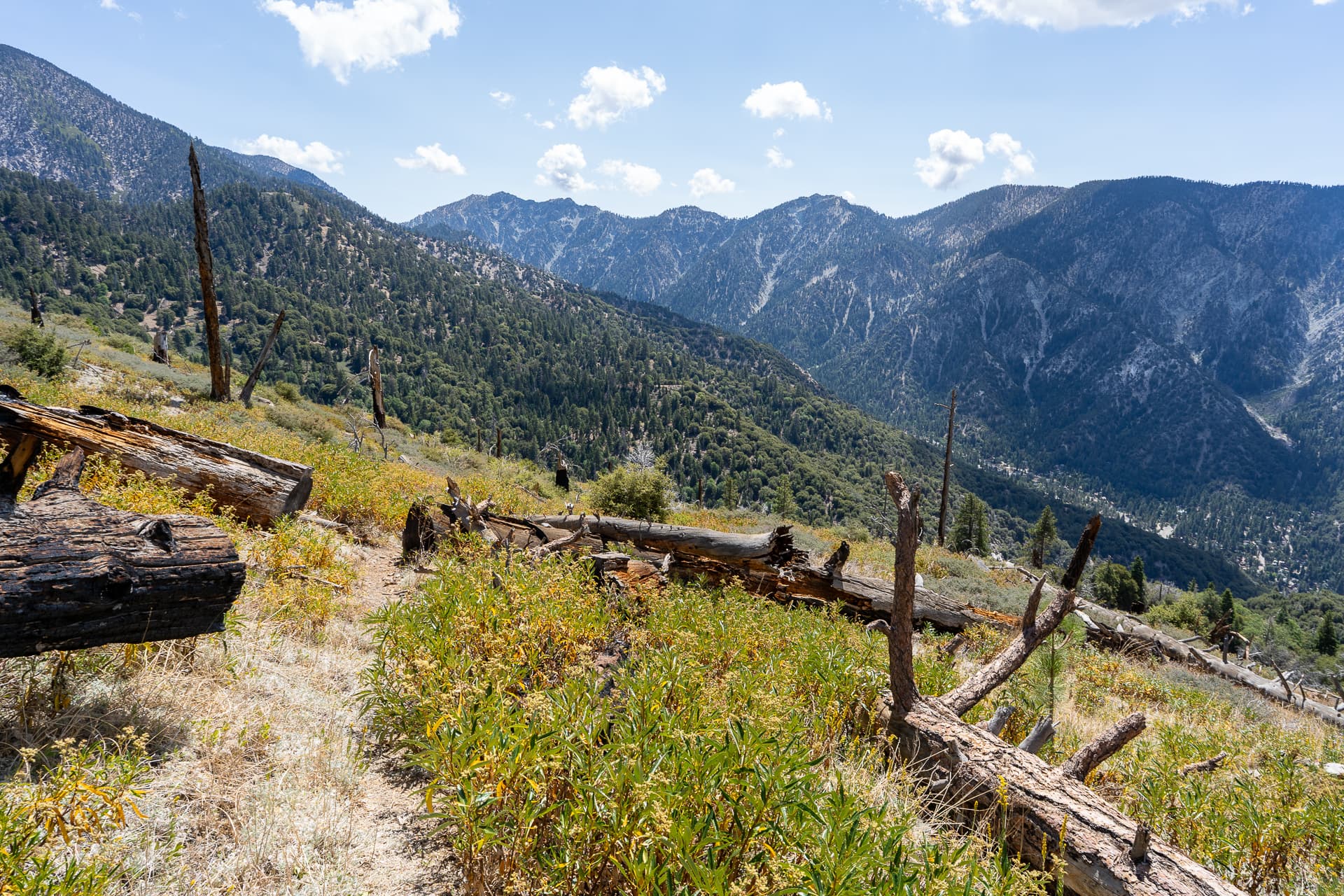 San Bernardino East Peak via Momyer Creek Trail
