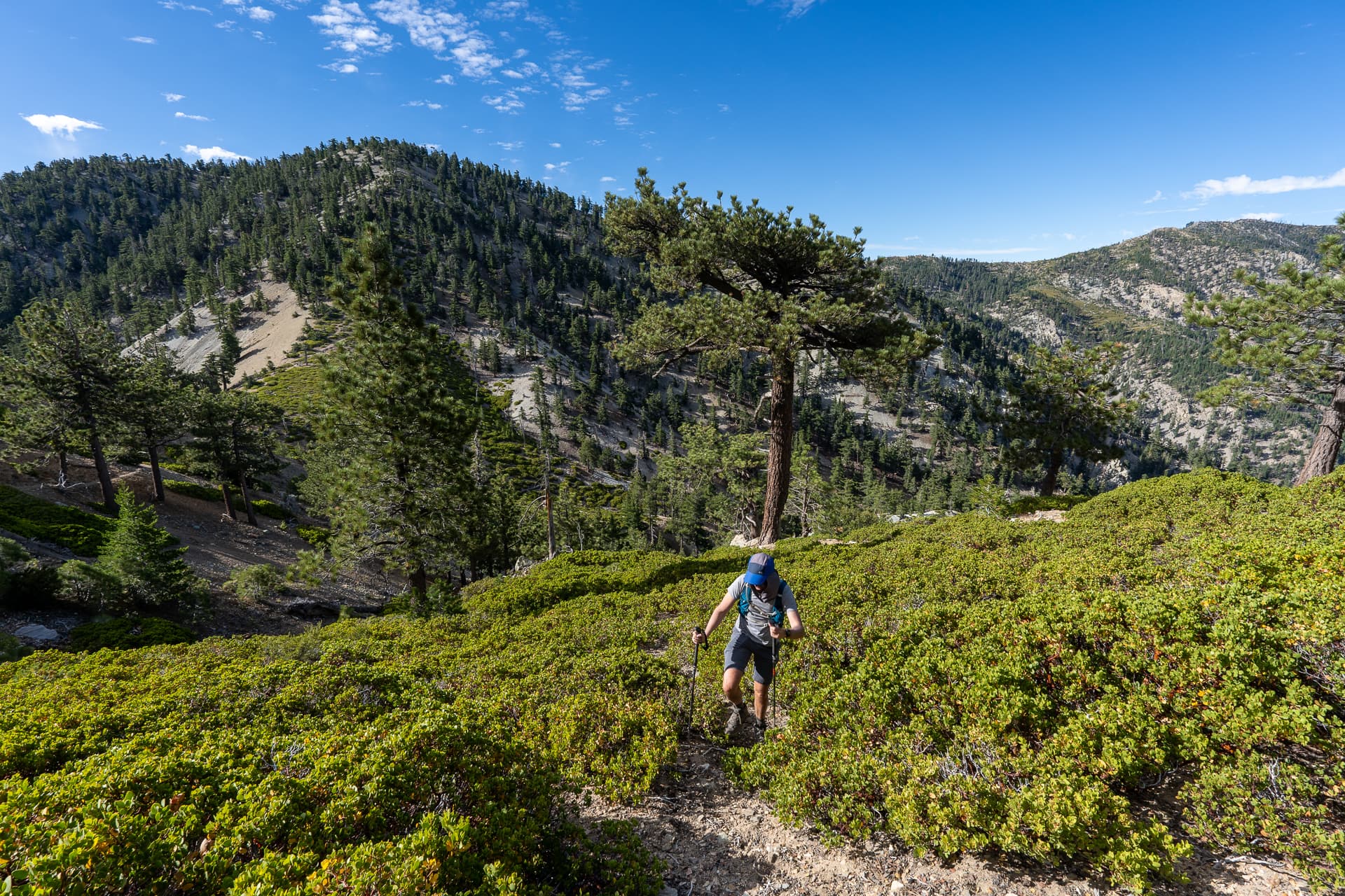 Telegraph Peak and Thunder Mountain Loop via Timbergraph Wash and Cedar Canyon